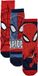 Disney Chaussettes Lot de 3 Spiderman Coton Multicolore Enfants 23/24