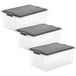 Rotho Compact Set van 3 opbergboxen 38l met deksel, Kunststof (PP) BPA-vrij, antraciet/transparant