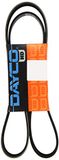 Dayco 8PK1375HD riem HD