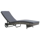 VidaXL Lounge Stoel Gecapitonneerde Zitting Polyethyleen, Rotan, Staal Antraciet
