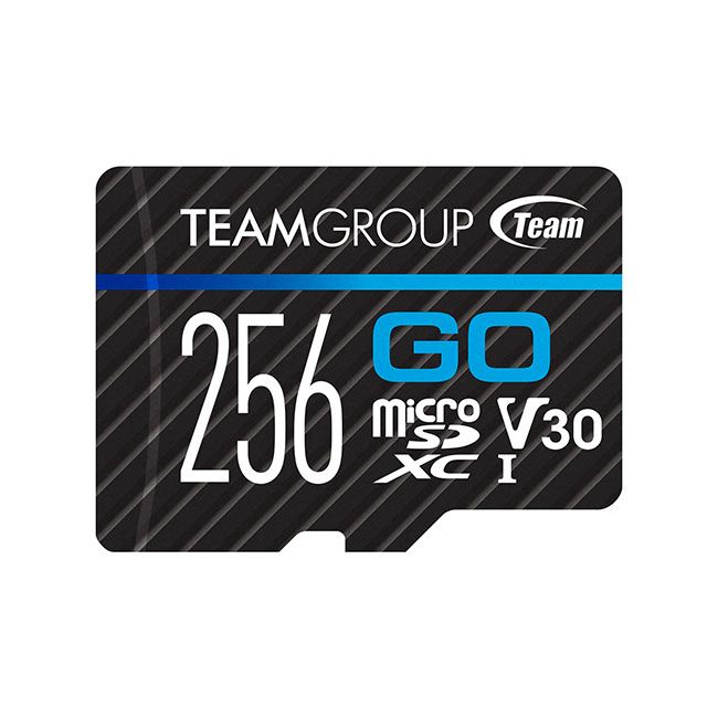 Team Group Go MicroSDXC 256GB - Zwart