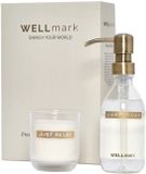 Wellmark giftbox Discover: handzeep 'bring out the bubbles' + kaars helder / brass dark - fresh linen