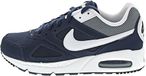 Nike Air Max IVO Trainers