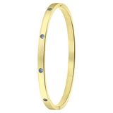Lucardi Dames Goldplated armband bangle geboortestenen - Staal - Armband - Cadeau - Stijlvol - Goudkleurig