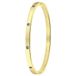 Lucardi Dames Goldplated armband bangle geboortestenen - Staal - Armband - Cadeau - Stijlvol - Goudkleurig