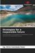 Strategies OmniScriptum SRL Strategies for a responsible future: Towards green mining based on sustainability, circular economy and responsible closure Paperback