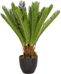 hjh office CYCAS - Kunstplant Groen - 70 cm - Groen