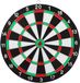 OEM Bol Dubbelzijdig dartbord - Geschikt voor binnen en buiten - 30,5 cm
