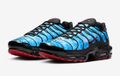 Nike Air Max Plus/TN Chaussures Hommes - Taille 46