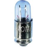 Barthelme 00283630 Subminiatuurgloeilamp 36 V 1.08 W MG5.7s/9 Helder 1 stuk(s)