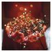 EMOS Led-lichtketting kleurrijk voor binnen en buiten, 8 m lange IP44 multicolor kerstlichtketting met 80 leds + 5 m voedingskabel en voeding, 8 modi en 6 uur timerfunctie, voor feestjes, Kerstmis