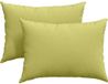 vidaXL - Coussin d'assise - 2 pièces - Tissu - Vert clair - 70 x 50 cm