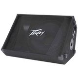 Peavey PV 15M Passive Floor Monitor