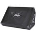 Peavey PV 15M Passive Floor Monitor