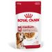 ROYAL CANIN Medium Ageing 10+ in jus 10x140 g