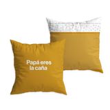 UO Kussensloop, motief: Papa Du bist der Riet, decoratieve kussensloop, 45 x 45 cm, zacht en comfortabel. Materiaal: 100% katoen. Origineel Vaderdagcadeau.