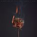 Fiona Brice - And You Know I Care (LP)