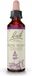 Fleurs de Bach Original Water Violet 20 ml