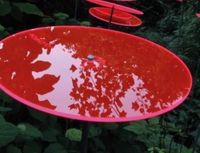 Cazador Del Sol 3 stuks! Zonnevanger Rood-Roze