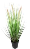 Flair Flower Kunstmatig Vossenstaartgras in Pot - Kunstplant, Groene Decoratieve Planten, Bosboekje, Siergras, Solitair Gras, Decoratie Grasarrangement - Groen, 52 cm