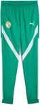 PUMA Prematch trainingsbroek Sénégal CAN 2025 Heren Groen Polyester Maat S
