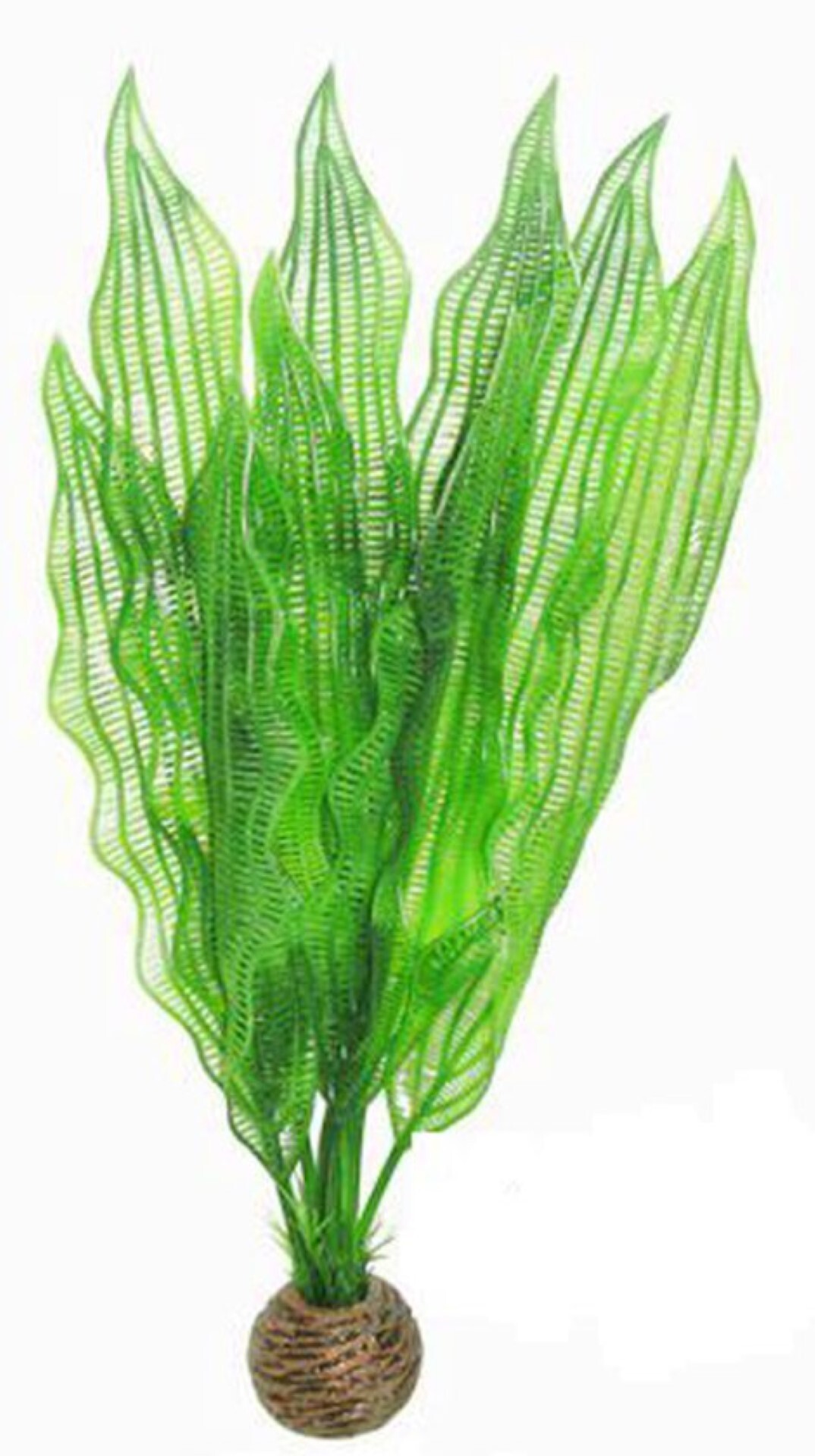 SuperFish easy plants hoog nr. 5, van plastic 30 cm - 1 ST