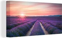 OneMillionCanvasses Canvas Schilderij Lavendel Paars 160x80cm - Wanddecoratie Bloemen