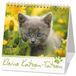 Kleine Kawohl Verlag GmbH Kleine Katzen-Tatzen 2027