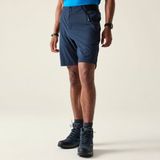 Dare2B Heren Torrek Lite Short Blauw Maat 32