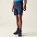 Dare2B Heren Torrek Lite Short Blauw Maat 32