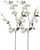 Emerald Kunstbloem Perzik bloesem - 2x - 80 cm - creme