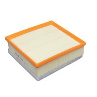 Purflux A1538 luchtfilter motor