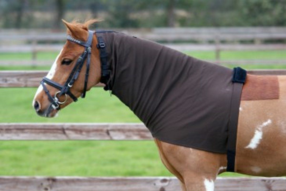 QHP Eczeem halsdeken / halsdeel - Brown - L
