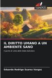 IL Edizioni Sapienza Il Diritto Umano a Un Ambiente Sano Paperback