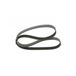 BOSCH Courroie trapézoïdale | Compatible avec : DACIA DOKKER Express Fourgon/Break, DOKKER Break, DUSTER, JOGGER, LOGAN III