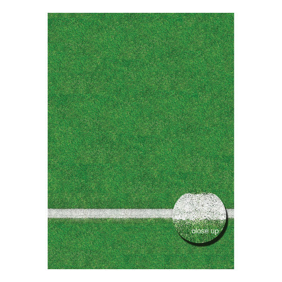 Savage Floor Drop Grass Sports Field - 2.40 x 2.40 meter