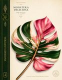 Verdant Editions No. 2: Monstera deliciosa 'Pink Variegata' Botanical Journal