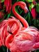 Peinture diamant Flamants roses 40x50 cm