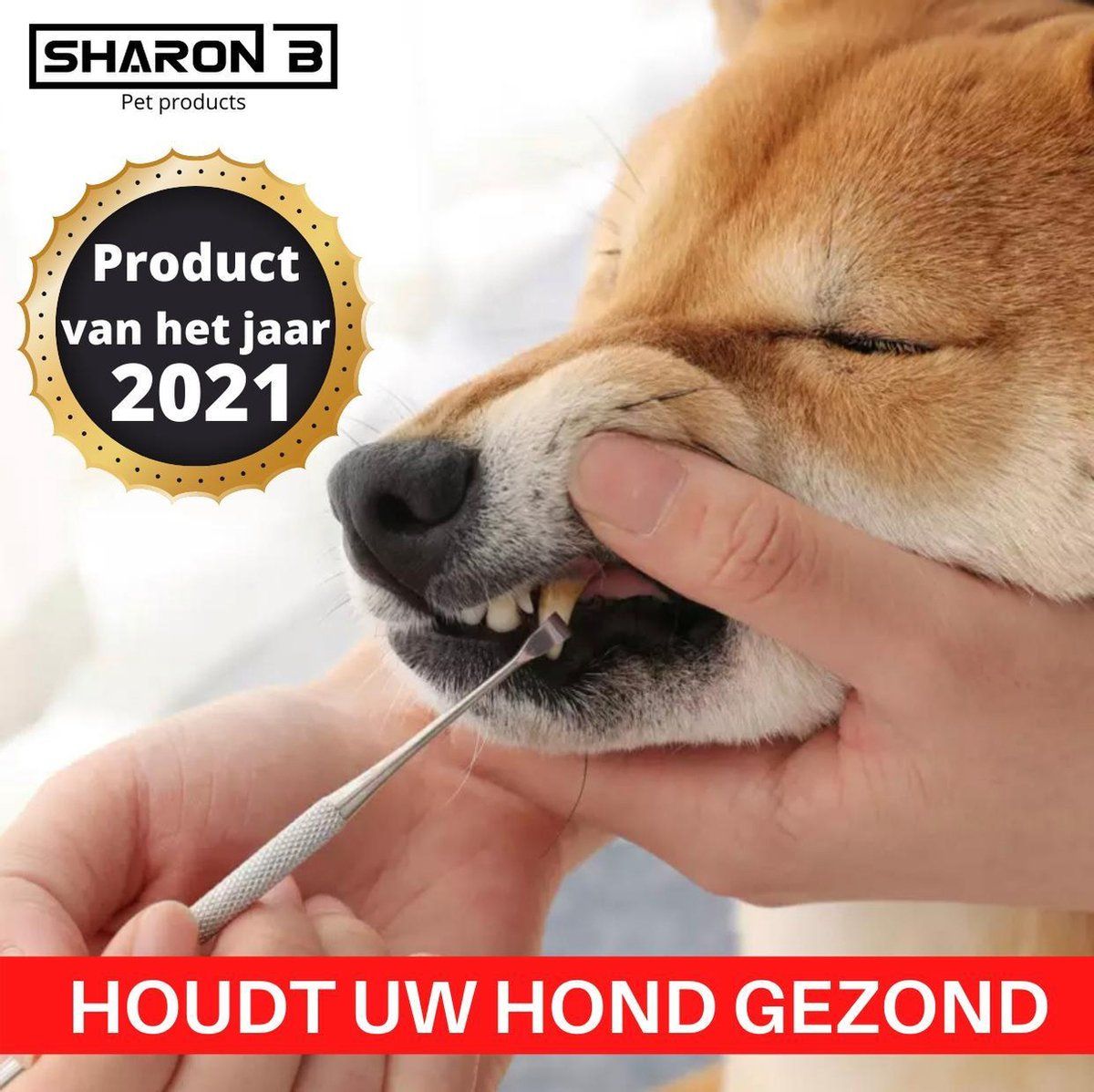 Sharon B Tandsteen verwijderaar Pro 3000 voor hond en kat | Tandsteen krabber | Tandsteen schraper | Chirurgisch staal | 7434257558589