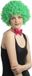 Faram Party Carnaval verkleed Clownspruik met krulletjes - groen - volwassenen
