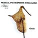Gaida Gega New Musical Instrumental In Bulgaria