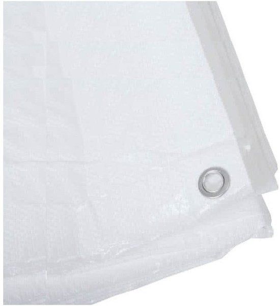 Ben Tools Afdekzeil / Dekzeil - 4 x 6 meter - 100 grams kwaliteit