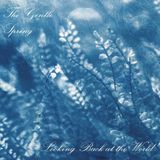Looking Gentle Spring - Looking Back At The World (CD)