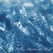 Looking Gentle Spring - Looking Back At The World (CD)