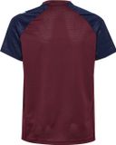 Hummel Dbu 26 Pro Tr Jersey S/S Kids
