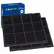Alapure 2x filtre à charbon pour Indesit C00308181