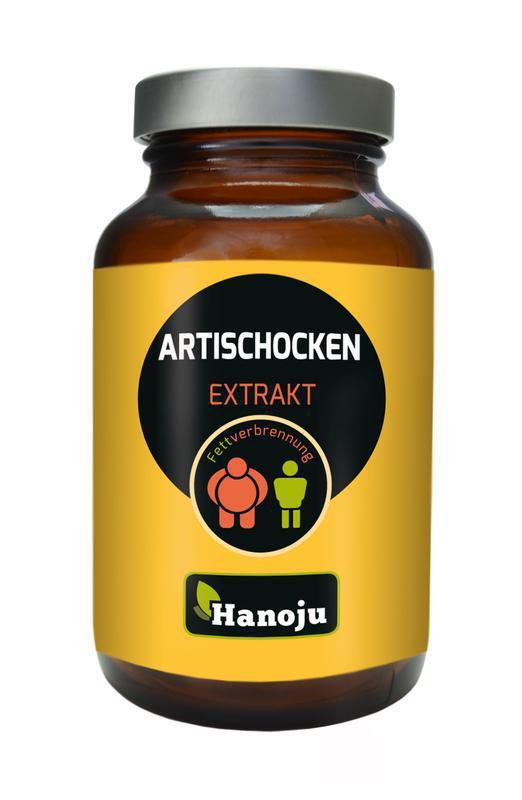 Hanoju Artisjok extract 500 mg 90 VC