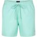 Undiemeister Short de bain