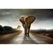 Decoratieve Scenolia Decoratieve afbeelding van acryl glas - 60 x 40 cm - 100% gemaakt in Frankrijk