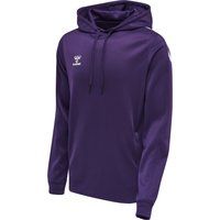 Hummel Core XK Polyester Sweatshirt with Hood